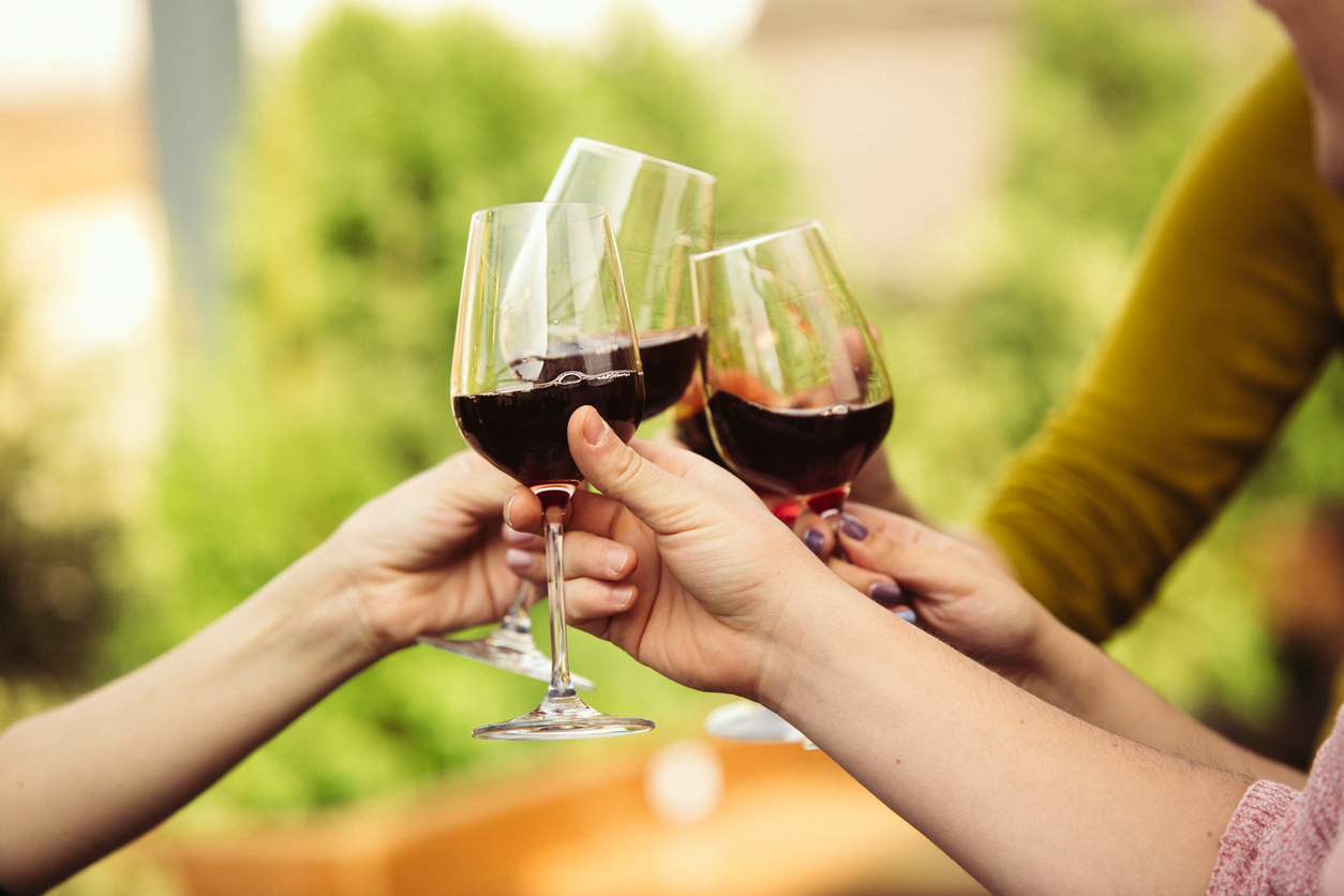 Team Kekfrankos, Freunde trinken Wein, Kadarka, Bikavér in Szekszárd