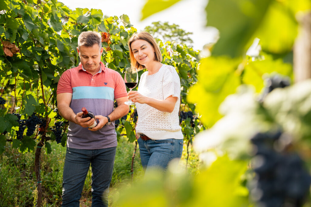 Sebestyén Weingut, Weinregion Szekszárd, ungarischer Wein, Sebestyén Csilla, Sebestyén Csaba