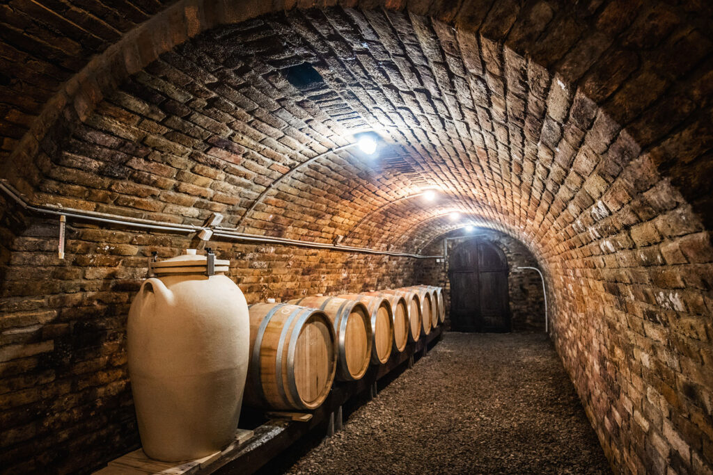 Gewölbekeller des Caldamentum Szőlőbirtok mit Amphore und Holzfässern zur Weinreifung