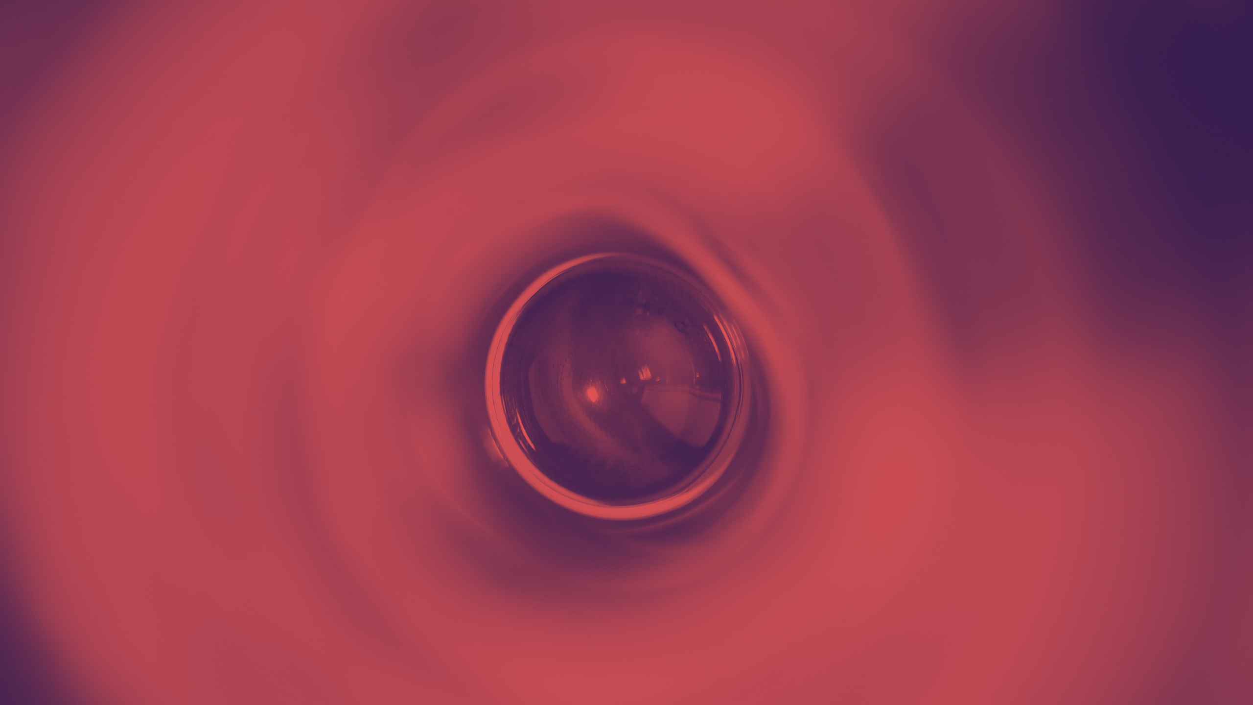 Ein Szekszárder Unikum: Die Kadarka Nahaufnahme Rotwein im Glas Kadarka