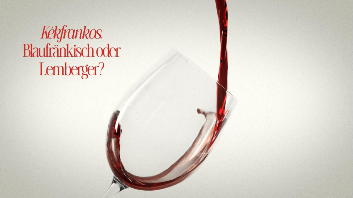 Rotwein wird in ein Weinglas gegossen, daneben die Frage: Kékfrankos, Blaufränkisch oder Lemberger?