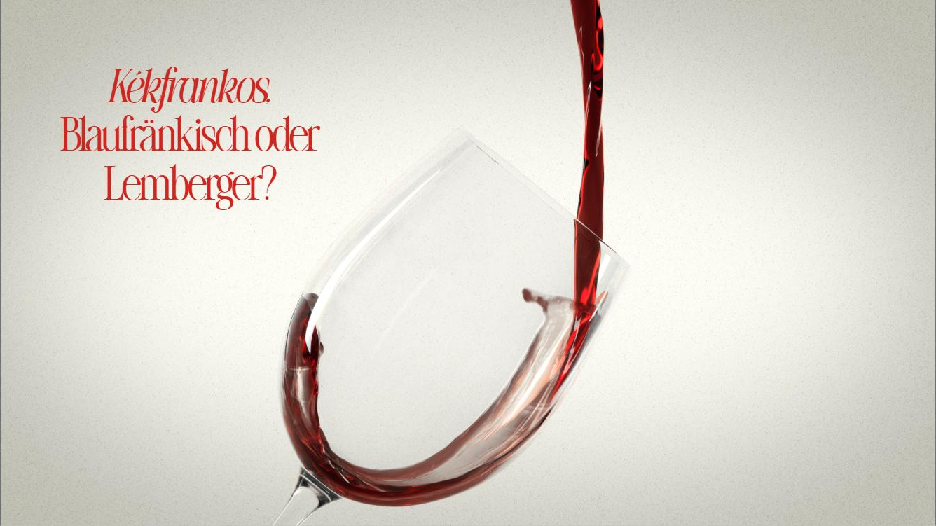 Kékfrankos, Blaufränkisch, Lemberger: eine Rebsorte, drei Namen Rotwein wird in ein Weinglas gegossen, daneben die Frage: Kékfrankos, Blaufränkisch oder Lemberger?