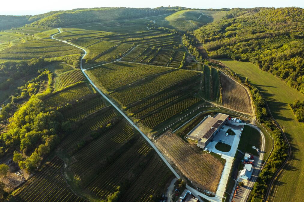Blog Luftaufnahme der Weinberge und des modernen Kellereigebäudes des Weinguts Schieber im Baranya-völgy bei Szekszárd